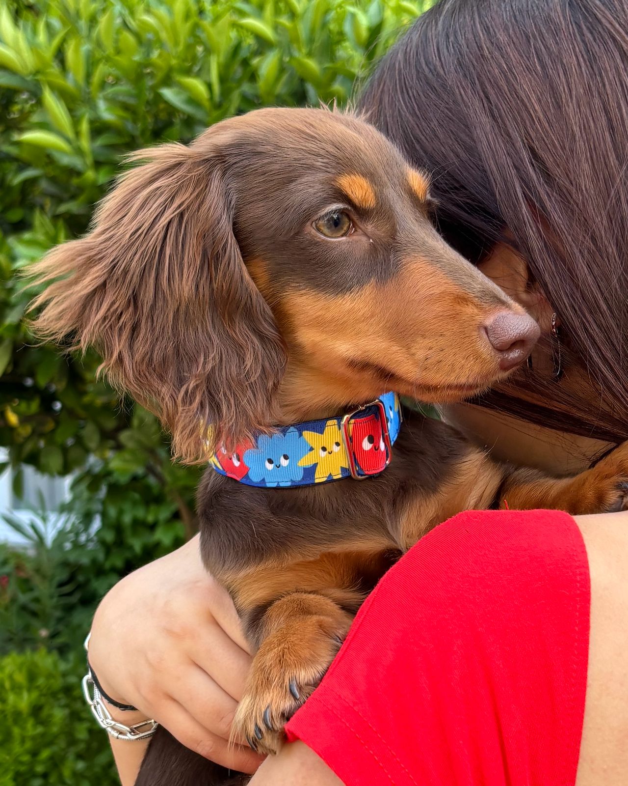 Colección Collares Pequeños