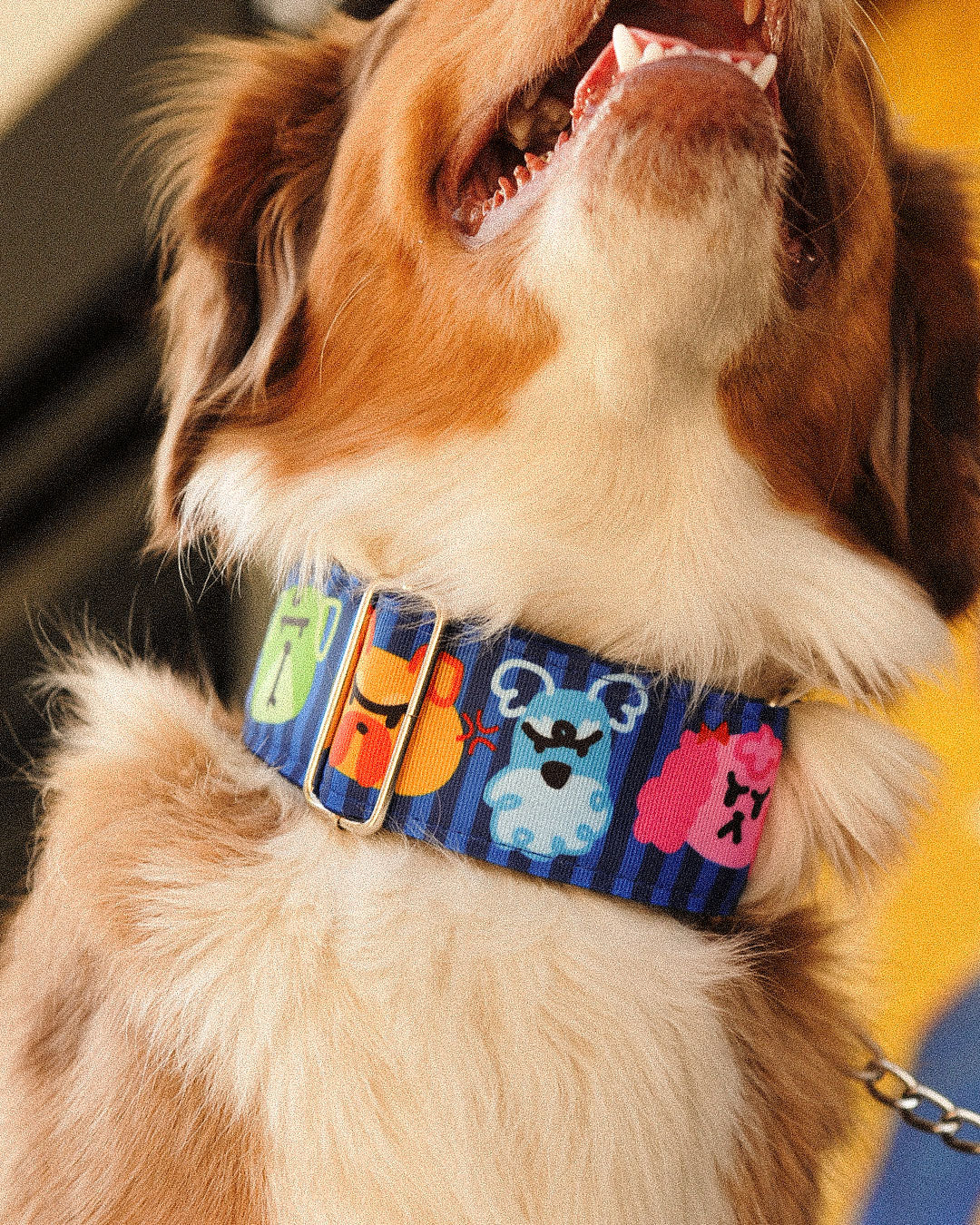 COLLAR AMURRAO 5 CM