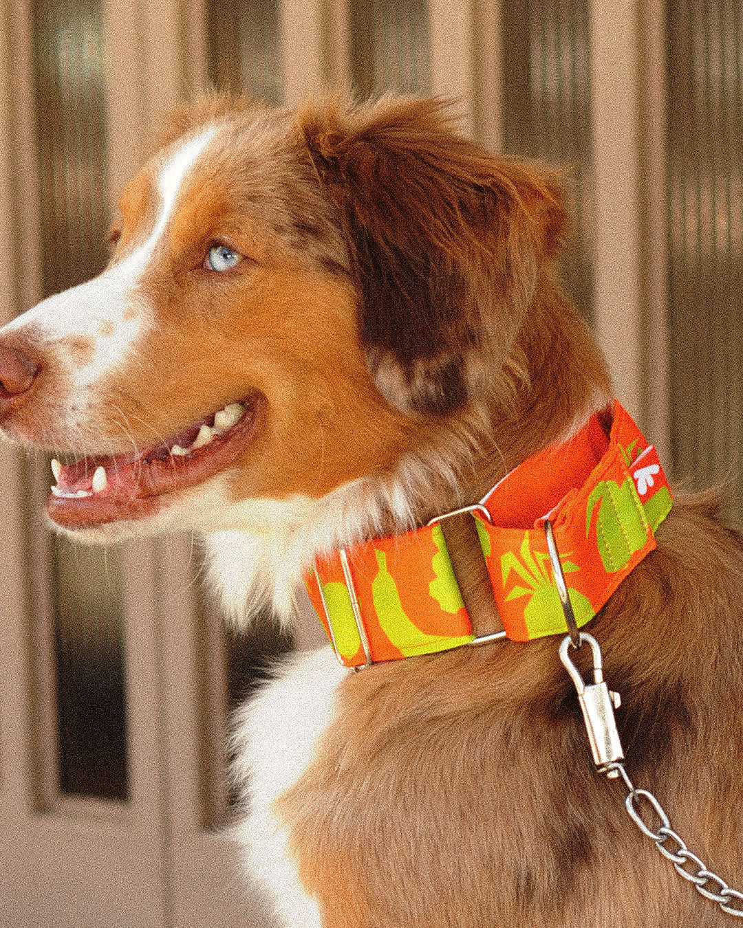 COLLAR MANGO ROLO 5 CM