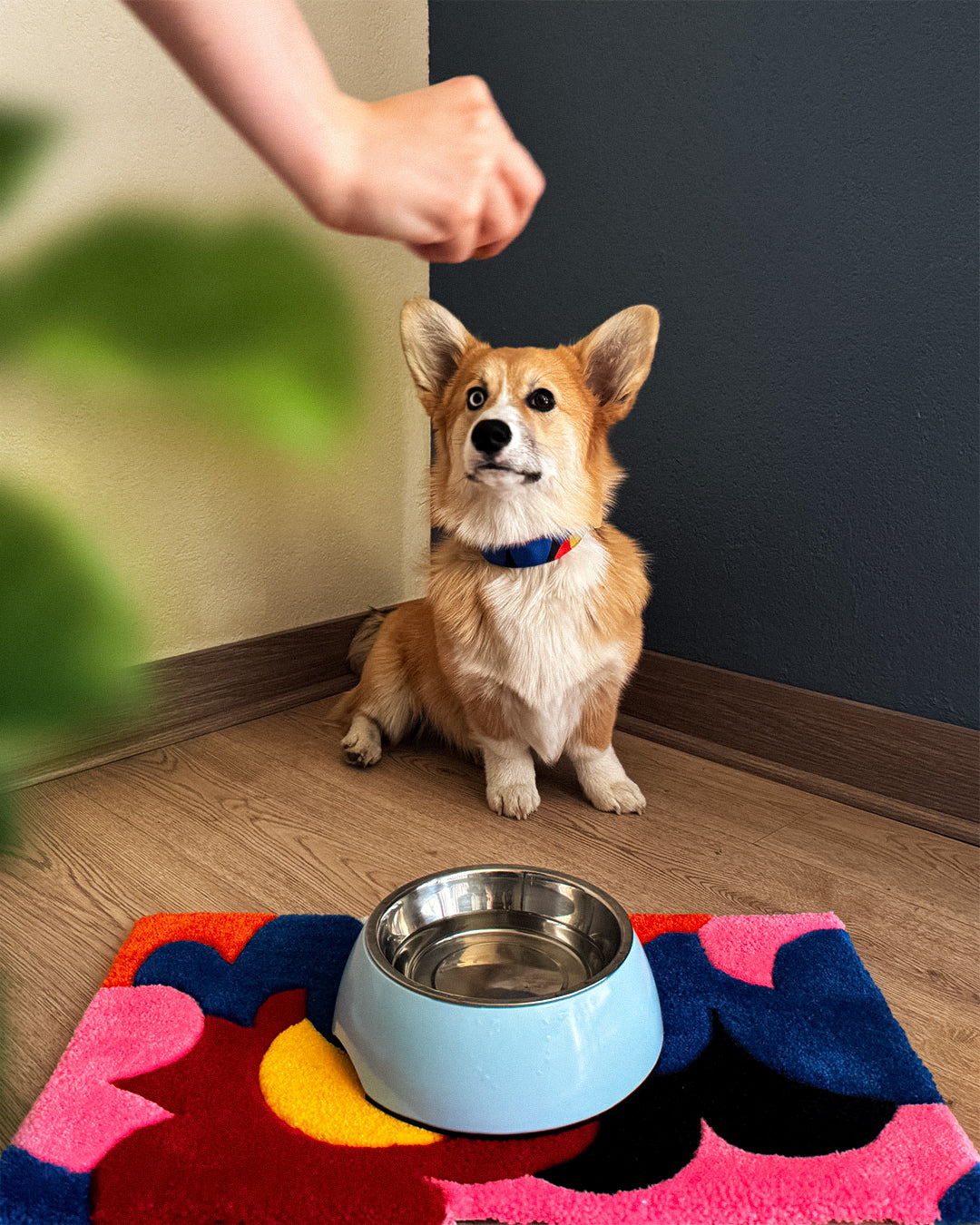 ALFOMBRA TOO MUCH SALSA