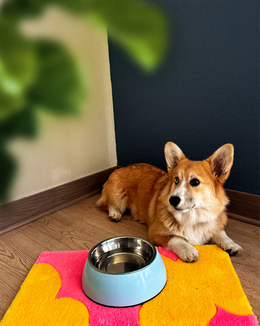 ALFOMBRA HOMER'S DRESS