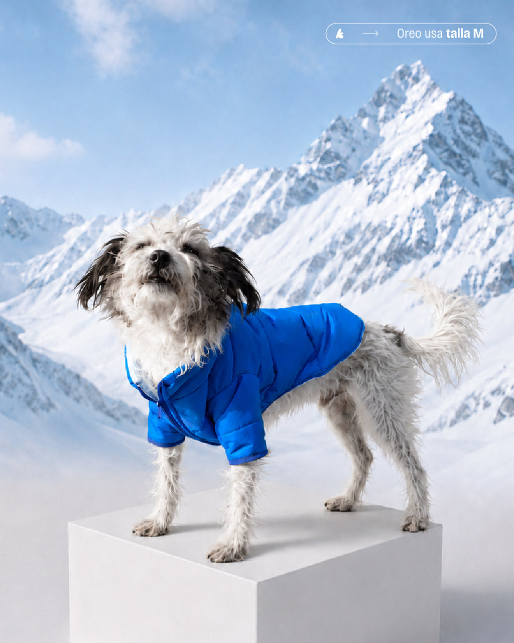 PARKAS IMPERMEABLES AZUL