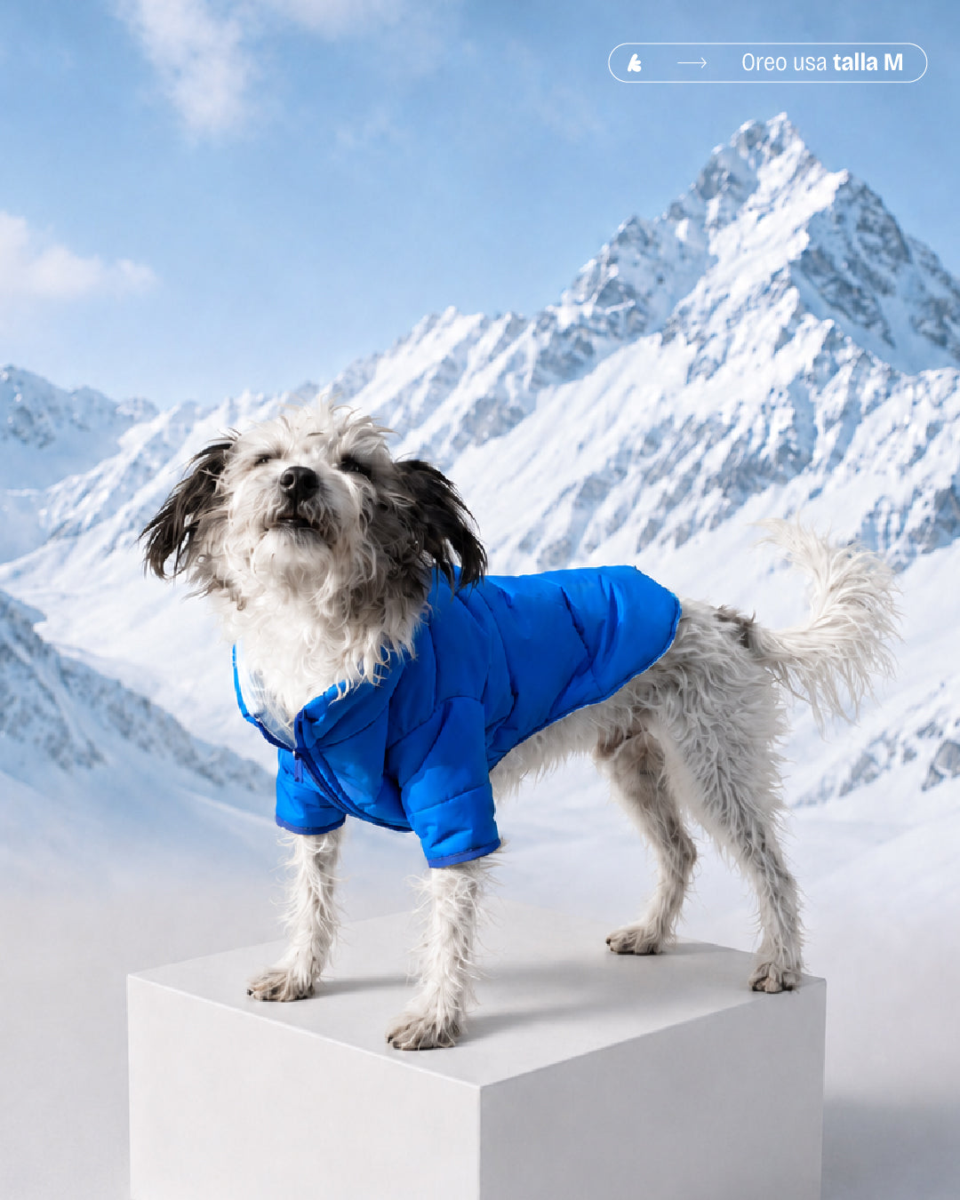 PARKAS IMPERMEABLES AZUL