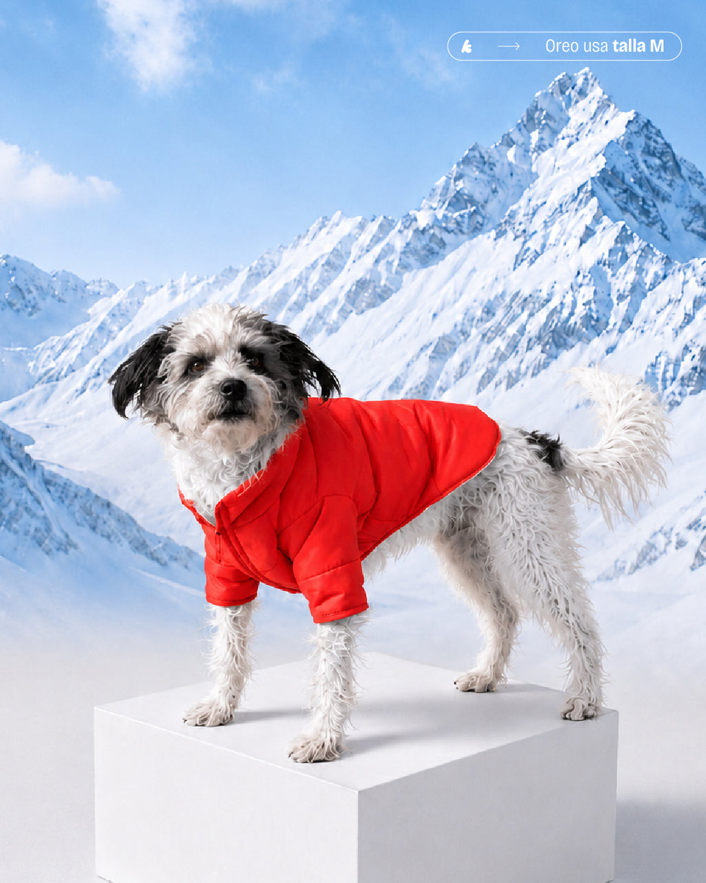 PARKAS IMPERMEABLES NARANJA