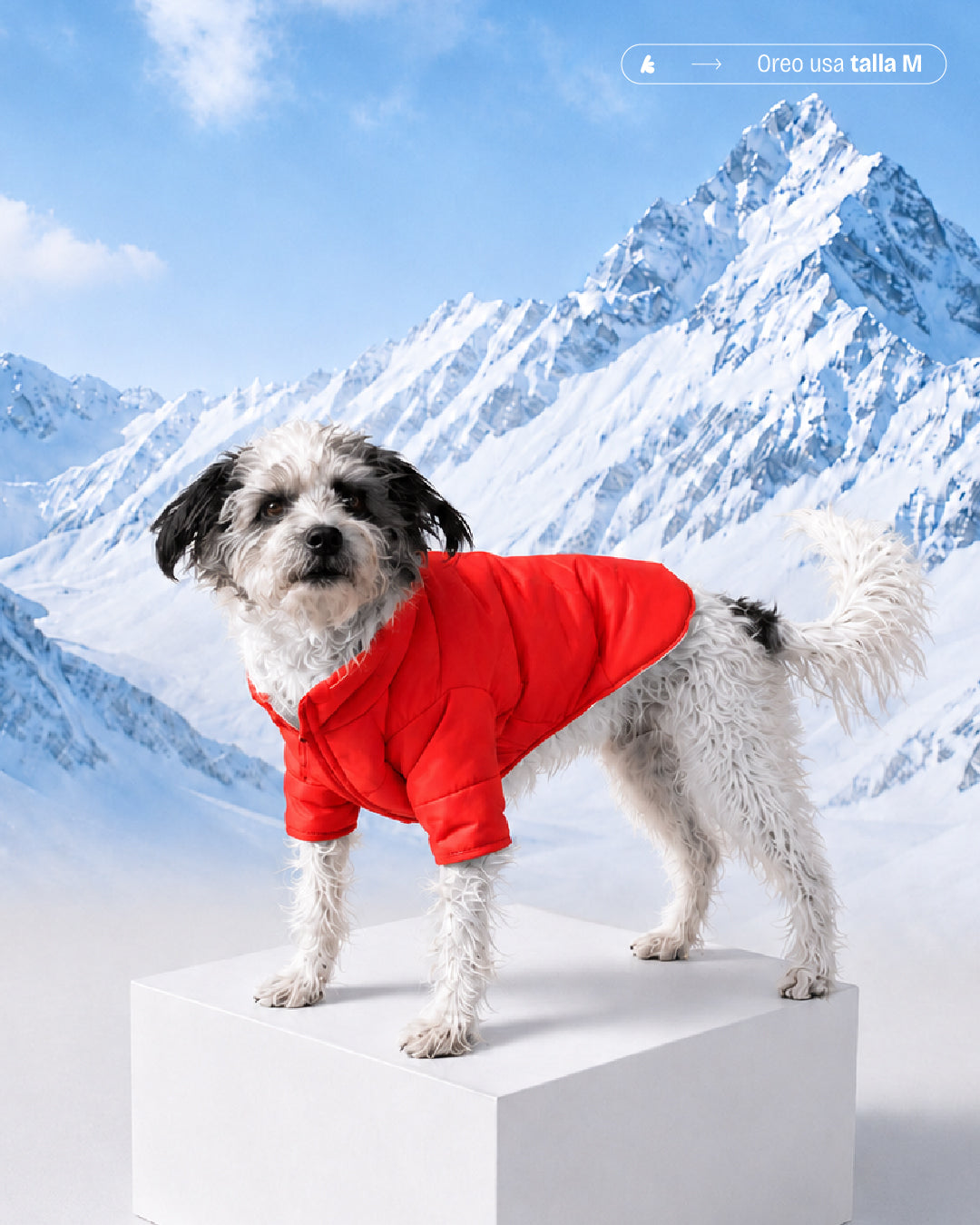 PARKAS IMPERMEABLES NARANJA