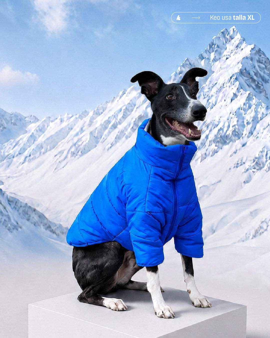 PARKAS IMPERMEABLES AZUL