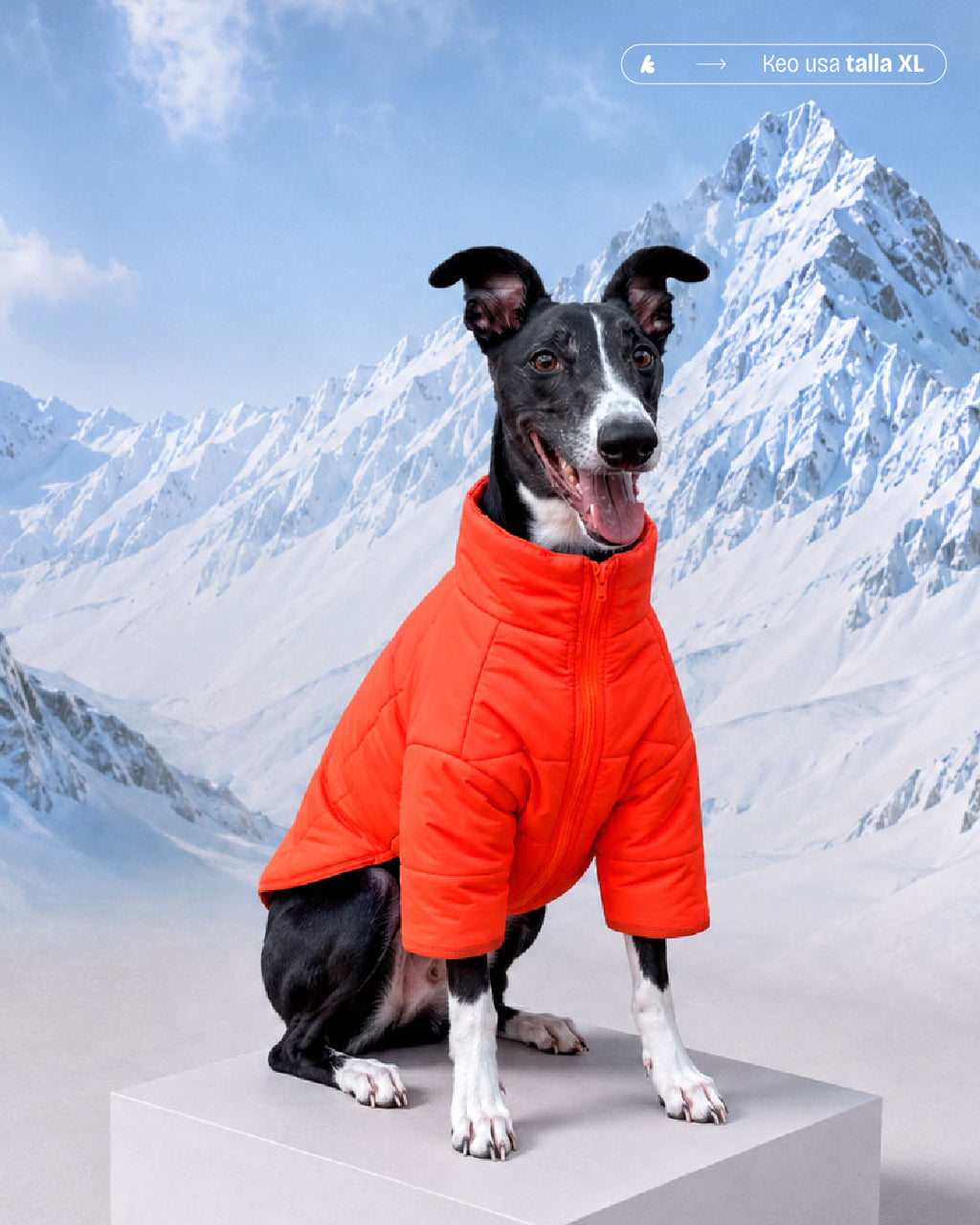 PARKAS IMPERMEABLES NARANJA