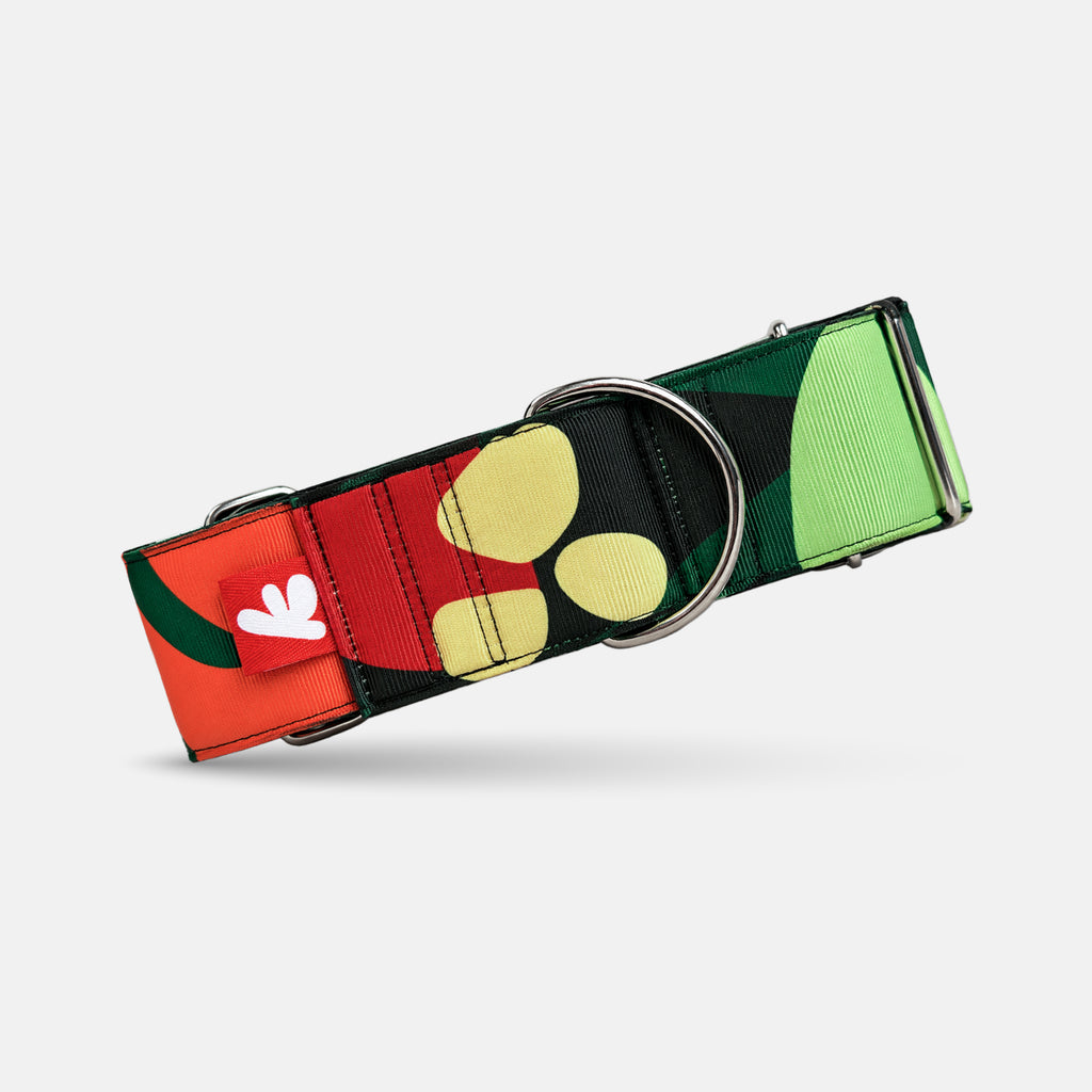 COLLAR SAMBA 5 CM