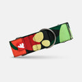 COLLAR SAMBA 5 CM