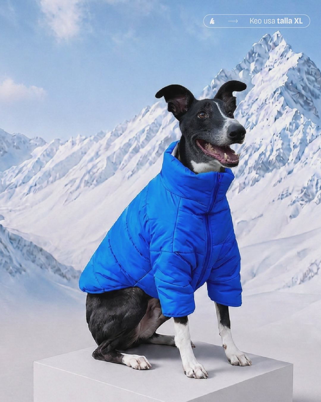 PARKAS IMPERMEABLES