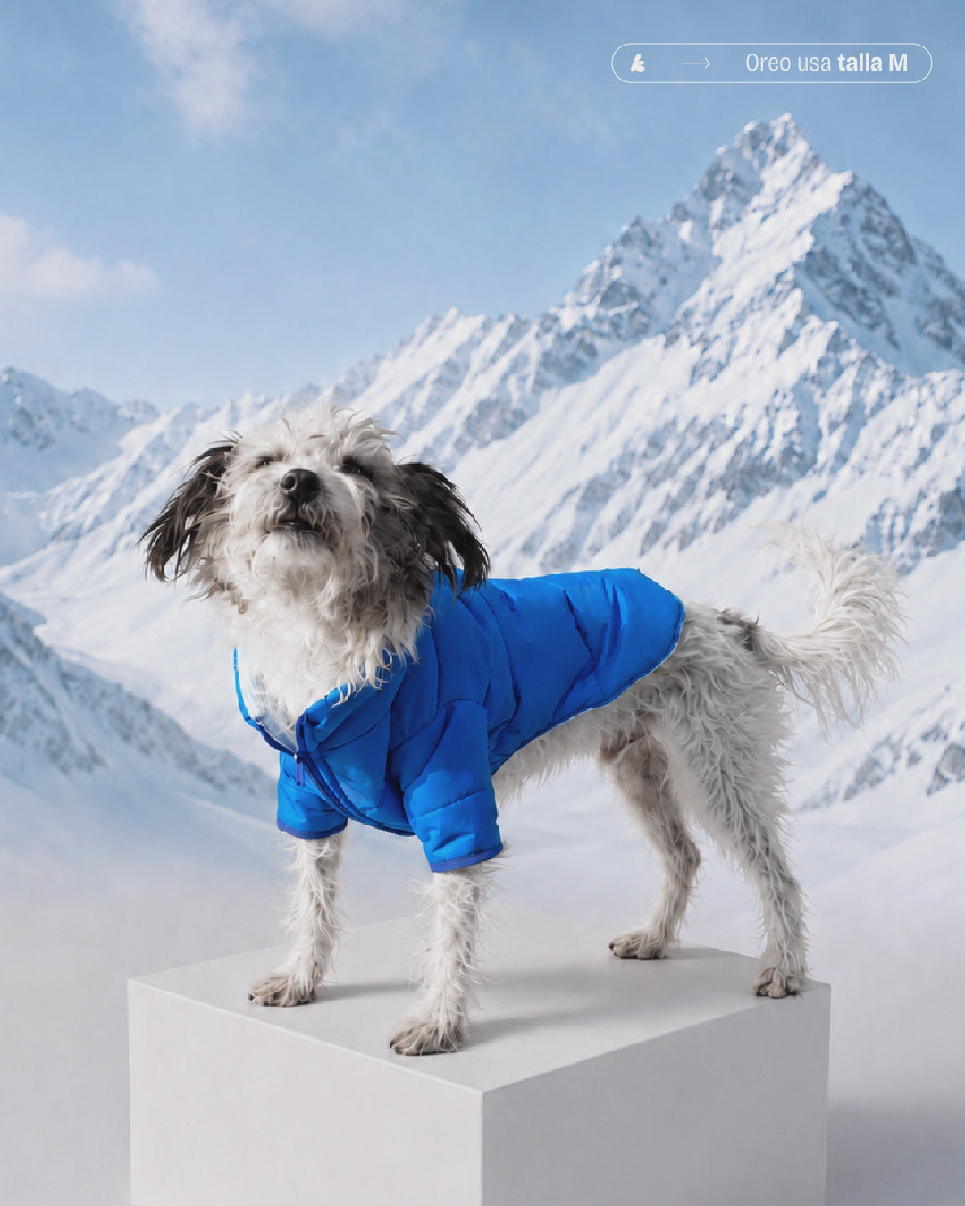 PARKAS IMPERMEABLES